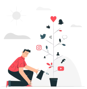 social media growth find my business